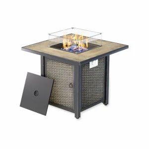 25.2'' H x 30'' W Propane Outdoor Fire Pit Table with Lid